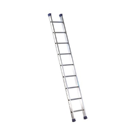 LUXE 1 simple support ladder with a ladder