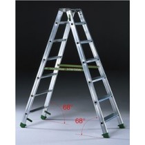 Professional ladder DUPLA