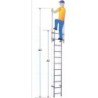 Marine ladder without cage